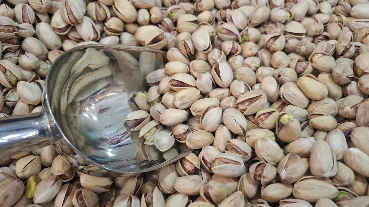 فروش عمده پسته کله قوچی + کیفیت ممتاز و قیمت رقابتی
